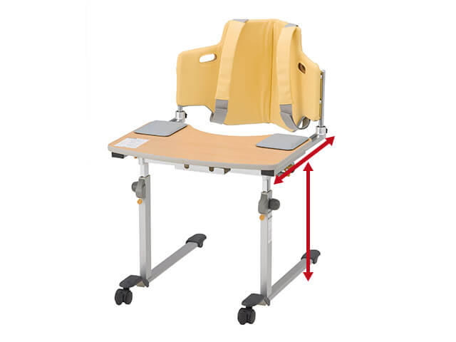 Adjustable Features
